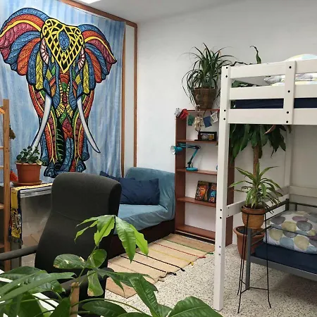 Hostel Tropical House Las Palmas de Gran Canaria