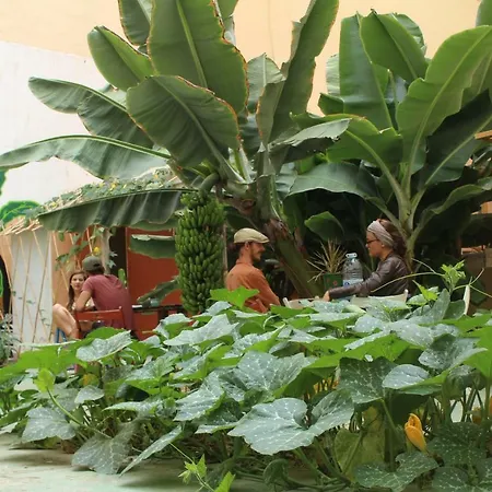 Hostel Tropical House
