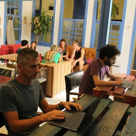 Hostel Tropical House Las Palmas de Gran Canaria