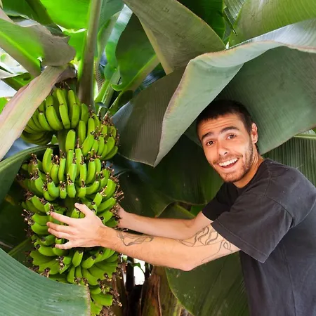 Tropical House Las Palmas / Gran Canaria
