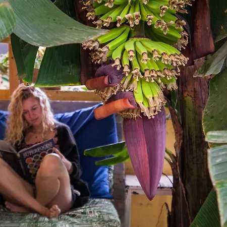 Hostel Tropical House *