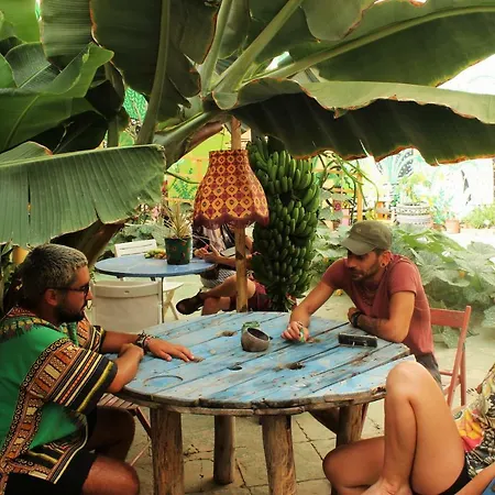 Auberge de jeunesse Tropical House Las Palmas de Gran Canaria
